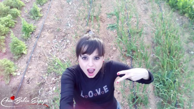 Cogiendo habas en el huerto del chalet