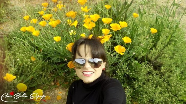 Las campanillas amarillas del jardín del chalet