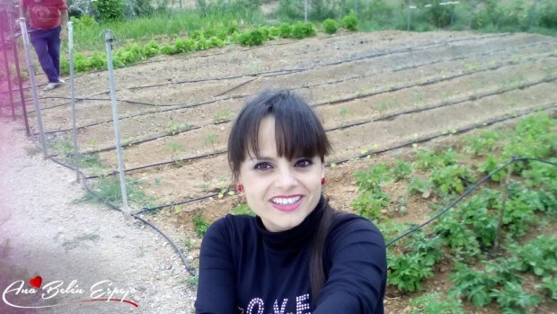 Las hileras del huerto del chalet en primavera