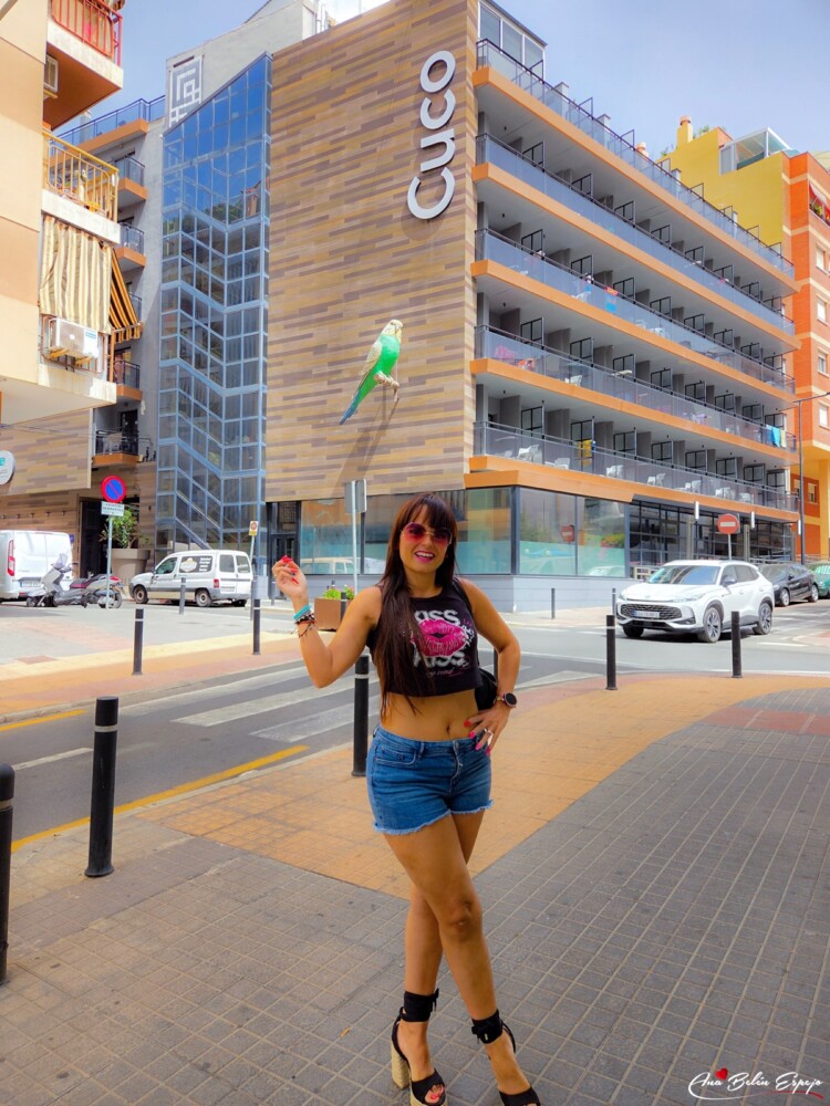 Fachada del Hotel Cuco de Benidorm con el loro verde Fachada del Hotel Cuco de Benidorm con el loro verde